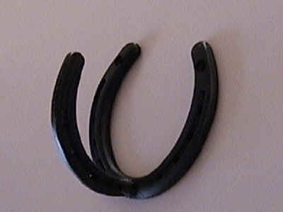 Horseshoe Hanger For Tack