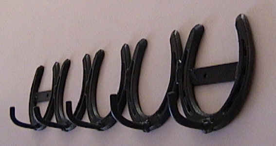 5 Row Horseshoe Coat Hanger