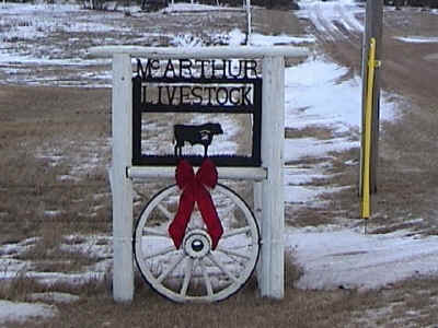 Driveway Entrance Silhouette With Bull